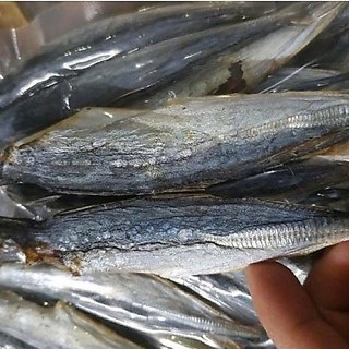 Khô cá nục bỏ đầu, loại ngon. khô hẳn không ướt, vị vừa ăn - 1KG