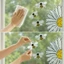 Trang trí nhà cửa - Nhãn dán cửa sổ ong hướng dương - Decal dán phim PVC tĩnh - Đính cửa kính có thể tháo rời - Bánh ngọt tự làm trần - Giấy dán tường phòng ngủ / Giao hàng miễn phí