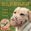 Thú Cưng Nhựa Chó Mõm Chống Cắn Chống Ăn Thoáng Khí Chó Mõm Golden Retriever Teddy Universal Mask26060513