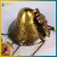 BVY Vintage Kim Loại Bướm Chuông Gió 6 Chuông Phong Cách Retro Cho Hiên Nhà Trang Trí Ban Công.