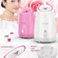 Trái Cây Thảo Dược Mặt Hấp Làm Sạch Sâu Da Mặt Thiết Bị Làm Sạch Nano Mist Hydration Facial Spa Dành Cho Nữ