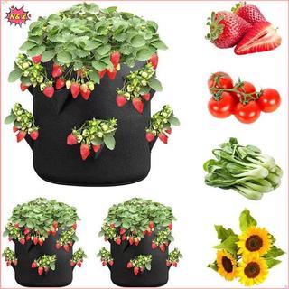 Túi trồng cà chua dâu tây N & X Space Saver 6 nhà thơ bền bỉ để sử dụng ngoài trời và trong nhà.