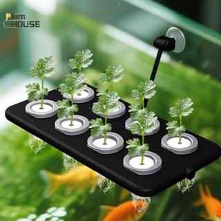 Bộ thủy canh công suất cao PlumHOUSE 10 / 30 / 50 Bộ xốp vuông để trồng cây hiệu quả VN
