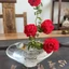Bình thủy tinh nhỏ DARON, Bình hoa thủy canh hình con ong trong suốt, Zen tối giản sáng tạo lấy cảm hứng từ đế để bàn Bình trang trí gia đình