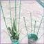 Lồng Cà Chua Cao Dọc Hỗ Trợ Trellis Lồng Cà Chua 3 Mảnh Cho Giường Lớn Cho Trang Trại Sân Vườn Trong Nhà Ngoài Trời mueadsyvn