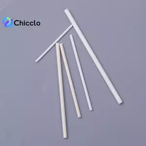 1 Máy Bơm Chìm Trục Gốm Trục Cánh Quạt Máy Bơm Nước Đường Kính 2.5mm / 3mm / 3.5mm / 4mm / 5mm Phụ Kiện Đẹp
