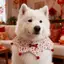 2026 Năm Mới Chó Dễ Thương Yếm Edge Shepherd Golden Retriever Alaska Nước Bọt Khăn Nhỏ Vừa Lớn Ngày Lễ Chó Phong Cách Mới