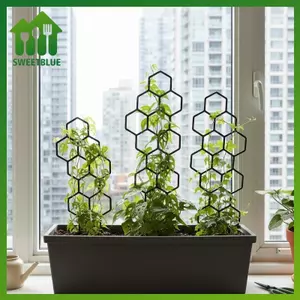 SWEET Cây Leo Khung Cho Hộp Đựng Trong Nhà Và Ngoài Trời Có Thể Điều Chỉnh Hỗ Trợ Cây Trellis Cho Sân Vườn Ban Công Chậu Cây Nho n