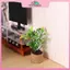 MYPANDA 1: 12 Nhà búp bê Cây cam thu nhỏ trong chậu cây xanh Đồ chơi trang trí nội thất sân vườn tại nhà.
