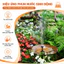 Đài Phun Nước Năng Lượng Mặt Trời – Chống Mưa IP65, Đa Dạng Kiểu Phun, Phù Hợp Cho Hồ Cá & Non Bộ