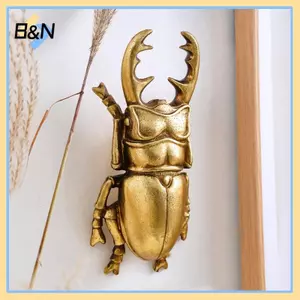 B & N Gạc Vàng Bọ Cánh Cứng Treo Tường Đồ Trang Trí Trang Trí Phòng Khách Treo Tường Túi Trưng Bày Côn Trùng Treo Tường Trang Trí.