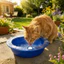 FUHUIOT Pet Ice Bowl, Làm Mát Xuống Giảm Nhiệt Cho Chó Bát Làm Mát, Uống Nước Đá Giữ Lạnh Lâu Dài Phun Nước Cho Thú Cưng Bát Uống Thời Tiết Nóng