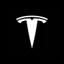 TESLA 2 / 4 Cửa Ô Tô LED Logo Đèn Máy Chiếu HD Đèn Chào Mừng 3D Ma Bóng Đèn Cho Tesla Model Y 3 S X Phụ Kiện Xe Hơi