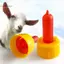HL 10 Chiếc Dê Mềm Núm Vú Thú Cưng Silicone Đặc Biệt Cho Bé Miệng Sữa Động Vật Nhỏ Thịt Cừu Bình Sữa Cừu Coke Chai Núm Vú Đỏ LMWU