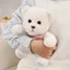 QEARY Thắt Nơ Gấu Búp Bê, Chất Liệu Mềm Khăn Size 25cm Gấu Đồ Chơi Sang Trọng, Bé Gái Bé Trai Thiết Kế Dễ Thương Khăn Phụ Kiện Đầy Màu Sắc Thắt Nơ Gấu Búp Bê Sang Trọng Đồng Hành Trẻ Em