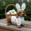 SiaBiced Dachshund Tượng Thỏ Theo Chủ Đề Ngày Lễ Chó Trong Thỏ Trang Phục Tượng Thiết Kế Dễ Thương Lễ Phục Sinh Dachshund Tượng Cho Để Bàn, Đồ Trang Trí
