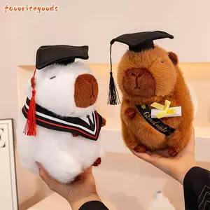 Búp bê tốt nghiệp FAVORITEGOODS, Búp bê gấu ngồi sang trọng 25cm, Gấu Capybara nhồi bông dễ thương Dr. Tốt nghiệp gấu