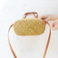 Ống Hút Tay Dệt Túi Thích Hợp Tất Cả Trận Đấu Vai Tiền Xu Đi Biển Kỳ Nghỉ Raffia Túi Điện Thoại Di Động Túi Nữ
