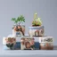 Thiết kế mộc mạc Ấm hoa gốm thô Hình dạng sáng tạo Nồi mọng nước Mini Tiết kiệm không gian cho bệ cửa sổ