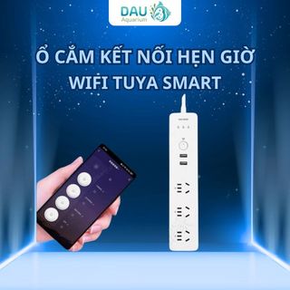 Ổ cắm điện Wifi Tuya Smart - Điều khiển hẹn giờ, bật tắt qua APP kết nối wifi độc lập từng ổ