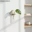 {AKIN} Giá đỡ cây ống nghiệm treo tường bằng gỗ trang trí nội thất cho thủy canh Monstera {a}