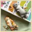 B & N Thực Tế Kitty Lười Mục Vụ Mèo Wirehair Mèo Mô Hình Nhân Vật Trang Trí Nhà Sáng Tạo Để Bàn Trang Trí Bộ Sưu Tập Đồ Chơi Trẻ Em.