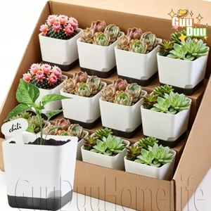 Chậu cây lười tự tưới nước - Chậu trồng thoát nước thoáng khí - Chậu hoa thấm nước tự động - Hộp trồng cây xương rồng mọng nước - Hộp trồng cây cảnh để bàn / Giao hàng miễn phí