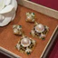 Bông tai hoa sang trọng nhẹ mới thanh lịch Zircon dài