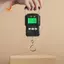 Cân kỹ thuật số 75kg / 10g Thước băng di động BackLight Móc treo câu cá Dụng cụ ngư dân Bao gồm thước 1M