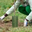 Mới Có Thể Điều Chỉnh Nhựa Thân Cây Bảo Vệ Bảo Vệ Thoáng Khí Có Thể Mở Rộng Saping Bao Để Chặn Động Vật Máy Cắt Cỏ Thiệt Hại Lý Tưởng