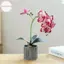 Houdou Lụa Bướm Phong Lan Hoa Nhân Tạo Cây Cảnh Phong Lan Phalaenopsis Chậu Hoa Nhà Trang Trí Đám Cưới Sắp Xếp Cây Giả VN