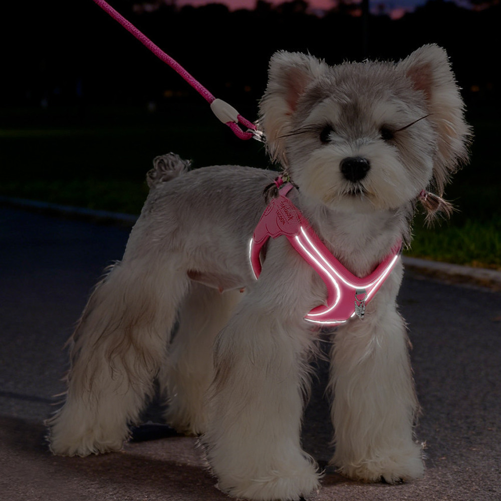 Dây Xích Chó Áo Phong Cách Dây Đeo Ngực Thoáng Khí Nhiều Màu Chó Nhỏ Mèo Dây Đeo Ngực Teddy Bichon Con Chó Con Mùa Hè Thú Cưng Dây Đeo Ngực Đi Chơi Chó Đi Bộ Dây Xích