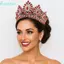 FUJICOU Baroque Queen Tiaras, Vương miện công chúa hợp kim lấp lánh sang trọng, Đẹp thanh lịch có thể điều chỉnh sáng bóng Kim cương giả Cuộc thi Diadem Sự kiện