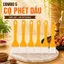 5 cọ phết dầu nướng bbq đa năng tiện lợi cho nhà bếp