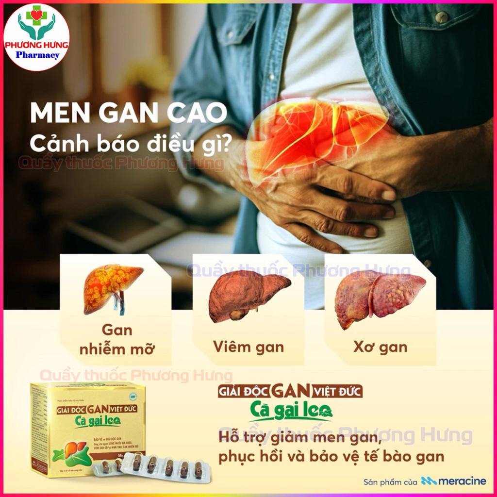 Giải Độc Gan Việt Đức Cà Gai Leo, Giúp Giải Độc Gan, Giảm Men Gan, Gan Nhiễm Mỡ - Hộp 60 Viên
