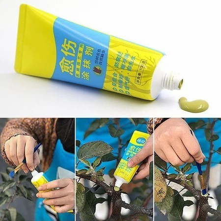 Keo Liền Sẹo Cho Cây 100g/500g Kèm Cọ Bôi Keo Liền Da Cây Bảo Vệ Vết Cắt Sau Cắt Tỉa Ghép Cành