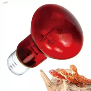 Đèn sưởi thú cưng Led ZENZON, Bóng đèn ngủ ban ngày UVA có thể điều chỉnh, Đèn bảo quản nhiệt 25W / 50W / 75W / 100W 220-230V Bóng đèn nhiệt bò sát hồng ngoại Môi trường sống bò sát
