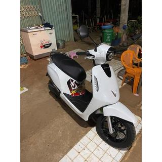 TEM EVO 200-EVONEO-EVOGRAND-EVO MAX  NHỰA NHÁM XE ĐIỆN mẫu mới DECAL 3 LỚP