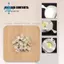 20 Chiếc Công Suất Cao 2 Pin 3W Trắng LED Hạt Emitters 170-190Lm 6000K