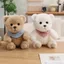 QEARY Thắt Nơ Gấu Búp Bê, Chất Liệu Mềm Khăn Size 25cm Gấu Đồ Chơi Sang Trọng, Bé Gái Bé Trai Thiết Kế Dễ Thương Khăn Phụ Kiện Đầy Màu Sắc Thắt Nơ Gấu Búp Bê Sang Trọng Đồng Hành Trẻ Em