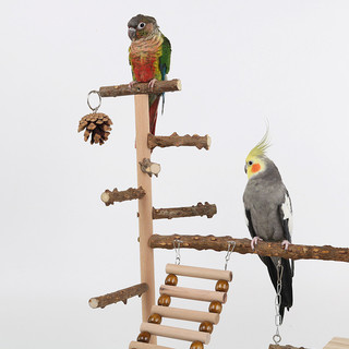 Tự Nhiên Gỗ Chắc Chắn Vẹt Playstand Sân Chơi Chim Có Thang Xoay Nhai Đồ Chơi Thép Không Gỉ Ăn Khay Có Thể Tháo Rời Cho Vẹt Nhỏ Vừa Cockatiel Budgie Lovebird