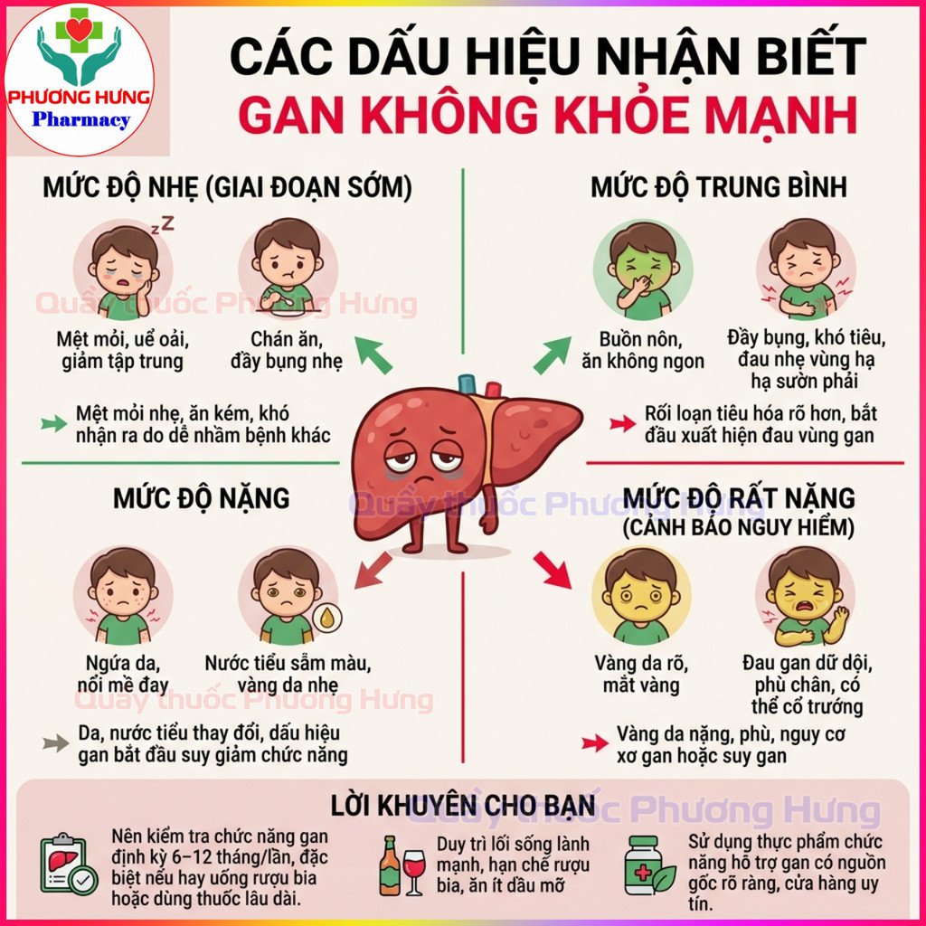 Giải Độc Gan Việt Đức Cà Gai Leo, Giúp Giải Độc Gan, Giảm Men Gan, Gan Nhiễm Mỡ - Hộp 60 Viên