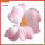 Linh hồn| Hoa lan bền lâu Hoa giả 10 chiếc Lụa nhân tạo Phalaenopsis Hoa lan Đầu hoa lan giả cho bó hoa cưới Thủ công Diy Trang trí nội thất Đông Nam Á