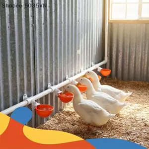 {AKIN} 5 Cái Treo Cốc Uống Nước Tự Động Bát Nước Gia Cầm Cho Bayard Hydrat Hóa {a}
