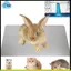 Chiếu điều hoà Cho Đồ Dùng Cho Thú Cưng 2 Chiếc Cho Tấm Làm Mát, Thỏ, Hamster Tương Thích Chống Cắn Giường Đá Cho Thú Cưng Tấm Mát