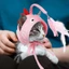 QEARY Cat Teaser Hat, Đồ chơi trêu ghẹo gắn trên đầu có thể điều chỉnh chống cắn, Đồ dùng cho mèo có lông vũ Tự giải trí Phim hoạt hình tương tác Cat Stick Pet Play