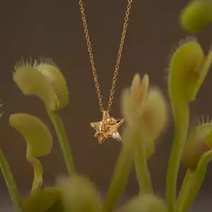 Phong Cách Đại Dương Sao Biển Ngọc Trai Năm Cánh Ngôi Sao Ánh Sáng Sang Trọng Mạ Vàng Sang Trọng Sang Trọng Phù Hợp Với Clavic