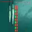 ZK Highly Sensitive Color-Changing Fish Float Hardtail Day Night Bite Indicator Drift VN