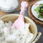 Muỗng cơm hình thỏ ba chiều chống dính làm từ rơm lúa mì