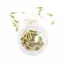 Nhíp 10 / 50 Chiếc Bộ Dụng Cụ Loại Bỏ Liên Kết Đồng Hồ Dây Chuyền Dụng Cụ Dây Xích Liên Kết Pin Tẩy Để Điều Chỉnh Dây Đeo Đồng Hồ Và Sửa Chữa Đồng Hồ VN